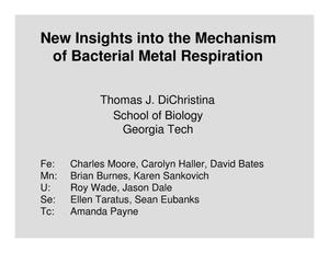 New Insights into the Mechanism of Bacterial Metal Respiration
