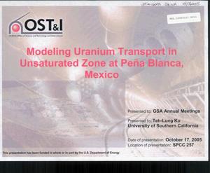 MODELING URANIUM TRANSPORT IN UNSATURATED ZONE AT PENA BLANCA, MEXICO