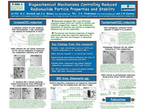 Primary view of object titled 'Biogeochemical Mechanisms Controlling Reduced Radionuclide Particle Properties and Stability'.
