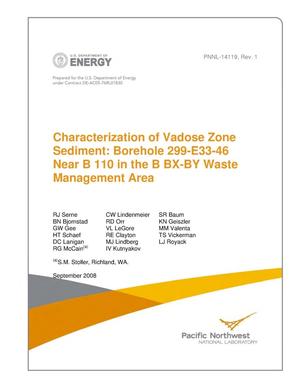 Characterization of Vadose Zone Sediment: Borehole 299-E33-46 Near B 110 in the B BX-BY Waste Management Area