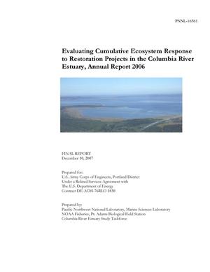 Evaluating Cumulative Ecosystem Response to Restoration Projects in the Columbia River Estuary, Annual Report 2006