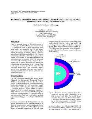 Numerical studies of fluid-rock interactions in EnhancedGeothermal Systems (EGS) with CO2 as working fluid