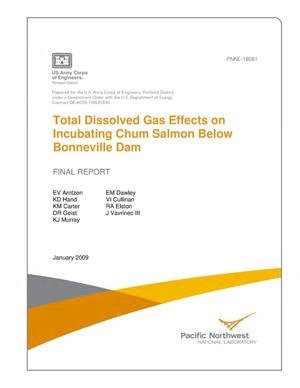 Total Dissolved Gas Effects on Incubating Chum Salmon Below Bonneville Dam