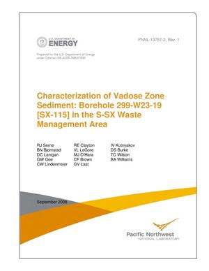 Characterization of Vadose Zone Sediment: Borehole 299-W23-19 [SX-115] in the S-SX Waste Management Area