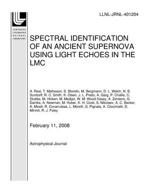 SPECTRAL IDENTIFICATION OF AN ANCIENT SUPERNOVA USING LIGHT ECHOES IN THE LMC