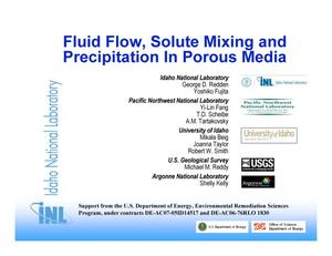 Fluid Flow, Solute Mixing and Precipitation In Porous Media