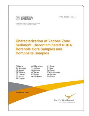 Characterization of Vadose Zone Sediment: Uncontaminated RCRA Borehole Core Samples and Composite Samples