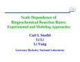 Presentation: Scale Dependence of Biogeochemical Reaction Rates: Experimental and M…