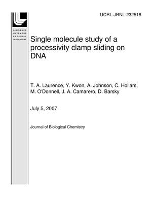 Single molecule study of a processivity clamp sliding on DNA