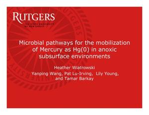 Microbial pathways for the mobilization of Mercury as Hg(0) in anoxic subsurface environments