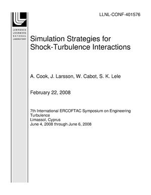 Simulation Strategies for Shock-Turbulence Interactions
