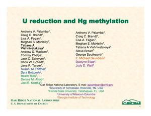 U reduction and Hg methylation