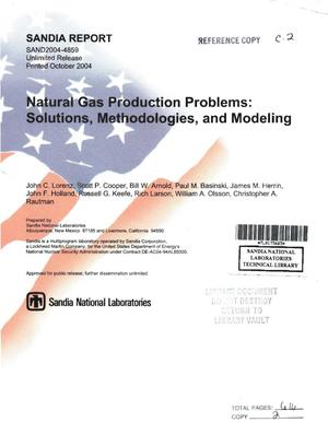 Natural gas production problems : solutions, methodologies, and modeling.
