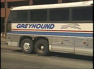 [News Clip: Greyhound]