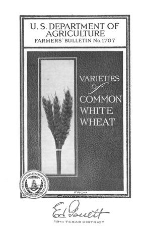 Varieties of common white wheat.