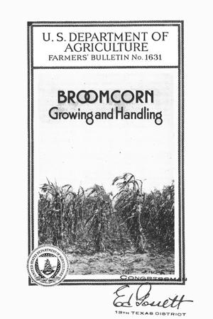 Broomcorn growing and handling.