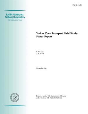 Vadose Zone Transport Field Study: Status Report