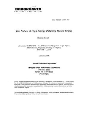 The Future of High Energy Polarized Proton Beams