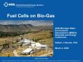 Presentation: Fuel Cells on Bio-Gas