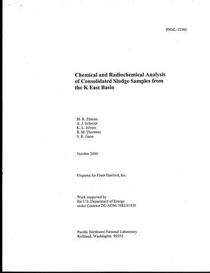 Chemical and Radiochemical Analysis of Consolidated Sludge Samples from the K East Basin