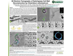3D Electron Tomography of Switchgrass Cell Wall Deconstruction by Clostridium cellulolyticum (Poster)
