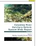 Report: Columbia River Hatchery Reform System-Wide Report.