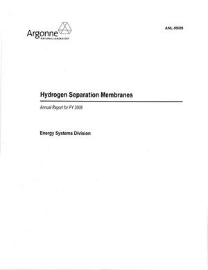 Hydrogen Separation Membranes Annual Report for FY 2008.