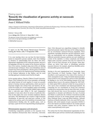 Meeting Report: Towards the Visualization of Genome Activity at Nanoscale Dimensions