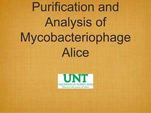 Purification and Analysis of Mycobacteriophage Alice