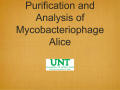 Presentation: Purification and Analysis of Mycobacteriophage Alice
