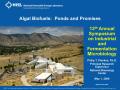 Presentation: Algal Biofuels: Ponds and Promises