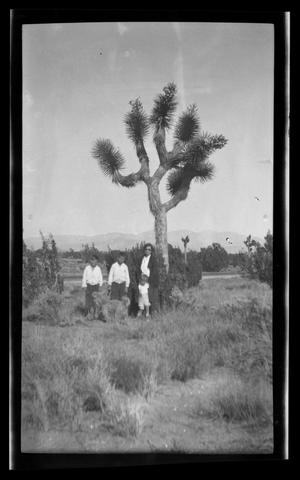 [The Williams family standing in front of a Joshua Tree]