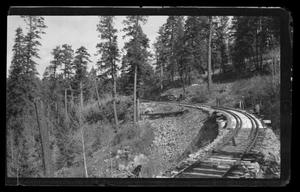 [A railroad track winding through a forest]