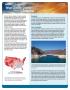 Pamphlet: What Climate Change Means for Arizona