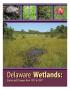 Text: Delaware Wetlands: Status and Changes from 1992 to 2007
