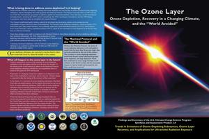 The Ozone Layer: Ozone Depletion, Recovery in a Changing Climate, and the "World Avoided"