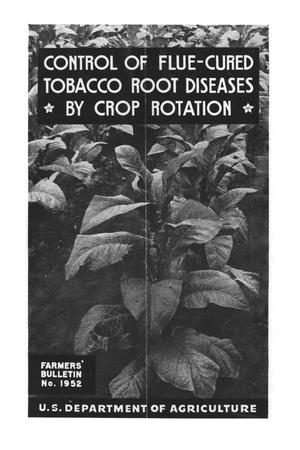 Control of flue-cured tobacco root diseases by crop rotation.