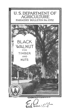 Black Walnut for Timber and Nuts.
