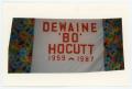 Photograph: [AIDS Memorial Quilt Panel for Dewaine "Bo" Hocutt]