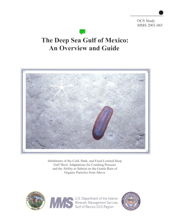 The Deep Sea Gulf Of Mexico Digital Library - 