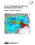 Text: Survey of Deepwater Currents in the Northwestern Gulf of Mexico, Volu…