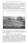 Thumbnail image of item number 3 in: 'Eradication of Ferns from Pasture Lands in the Eastern United States'.