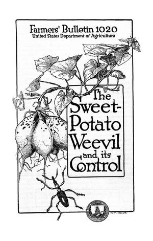 The Sweet-Potato Weevil and Its Control