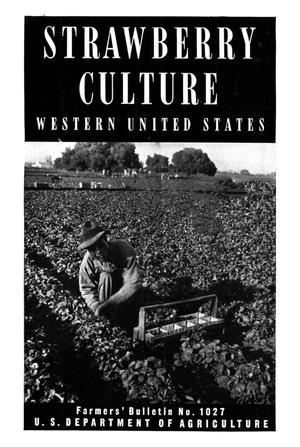 Strawberry Culture: Western United States