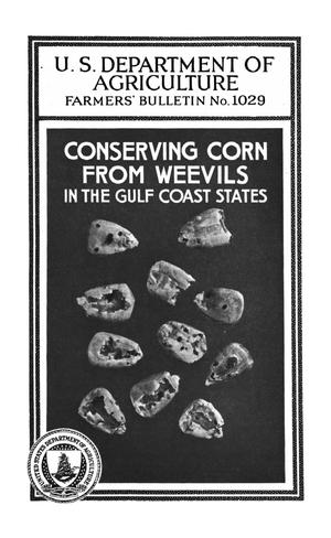 Conserving Corn From Weevils in the Gulf Coast States