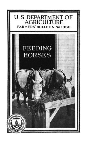 Feeding Horses