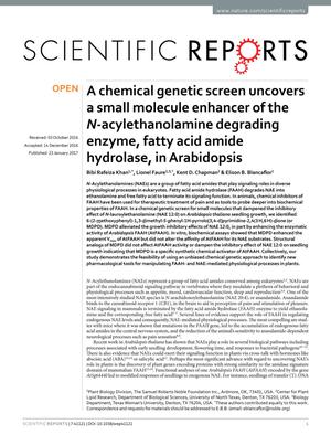 A chemical genetic screen uncovers a small molecule enhancer of the N-acylethanolamine degrading enzyme, fatty acid amide hydrolase, in Arabidopsis