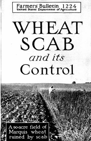 Wheat Scab and Its Control