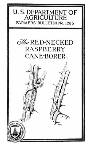 The Red-Necked Raspberry Cane-Borer