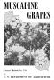 Pamphlet: Muscadine Grapes